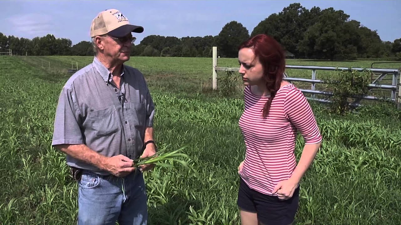 S.C. Farmer of The Year: Happy Cow Creamery