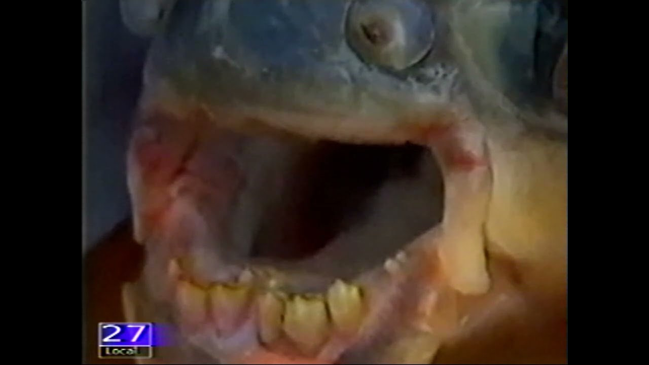 CHANNELSURFING - [Analog Horror]