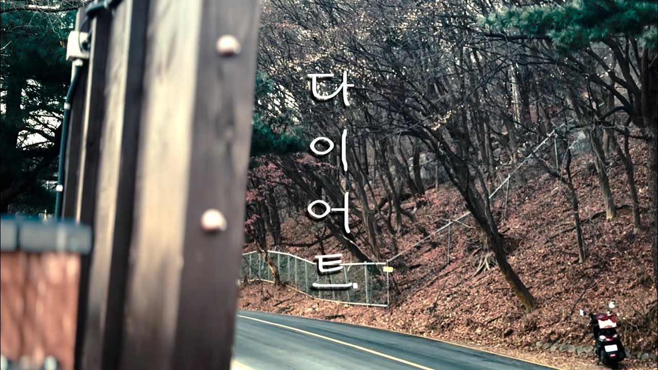 매번 다이어트에 실패한 '진짜' 이유