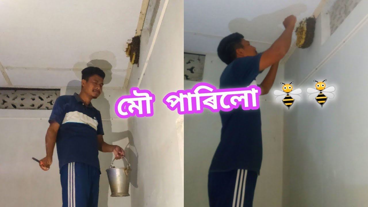 মৌ 😊 R- i- s- k -s আছে বহুত Guys ✅ একো Training নাই কেলা ধেত 😃👍 #viralvideoシ #viralvideo