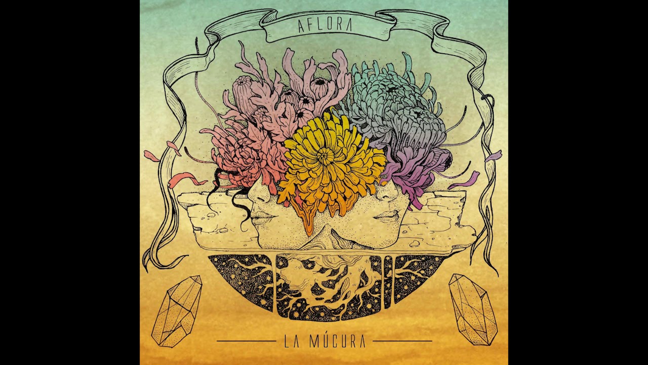 La M&uacute;cura - Decantar