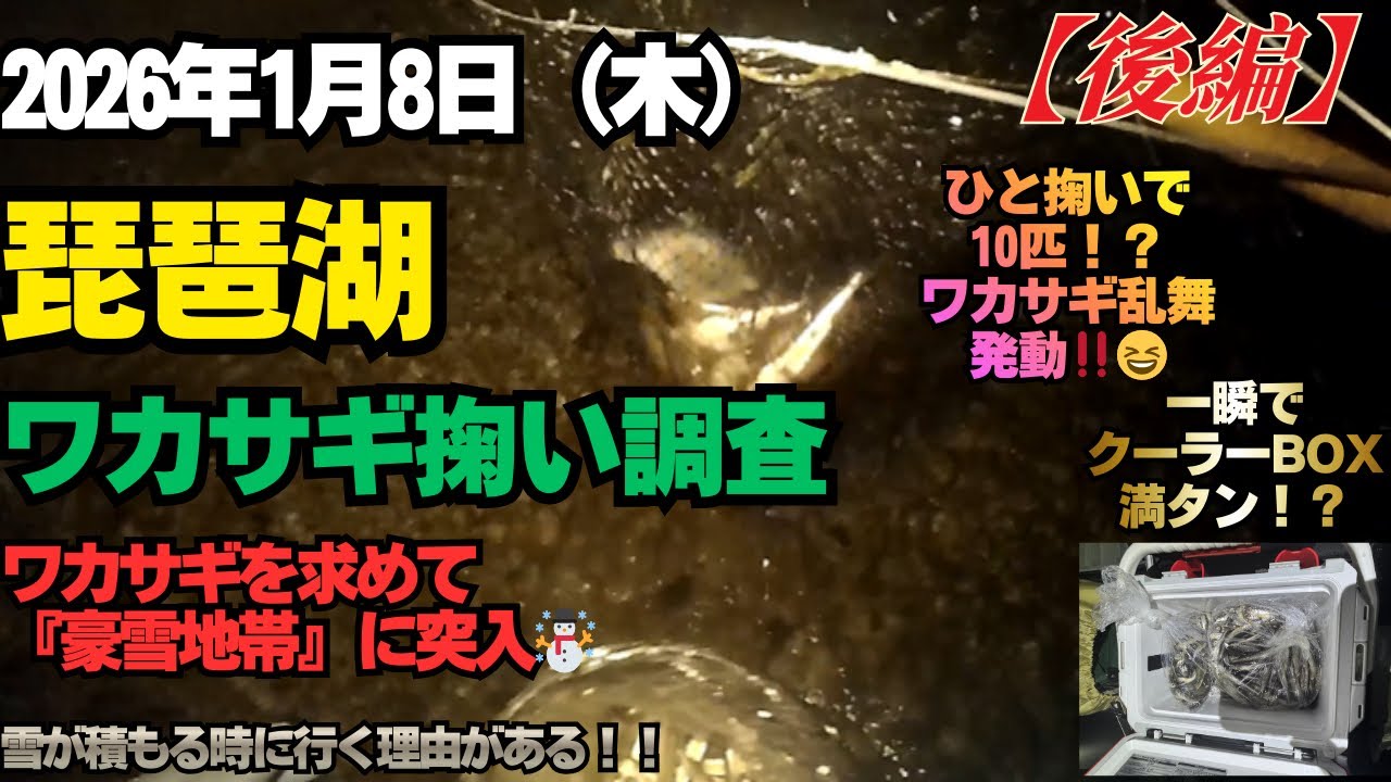 2026年1月8日（木）琵琶湖ワカサギ掬い調査‼️『後編』