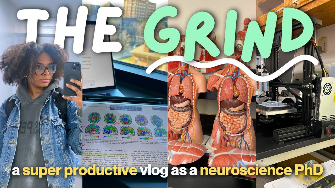 THE GRIND | a super productive study vlog as a neuroscience PhD student