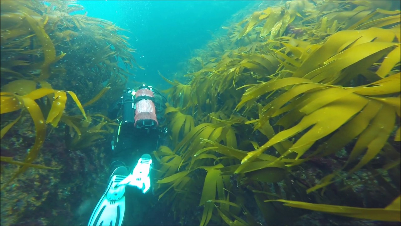 Haskeir Island Diving, Outer Hebrides