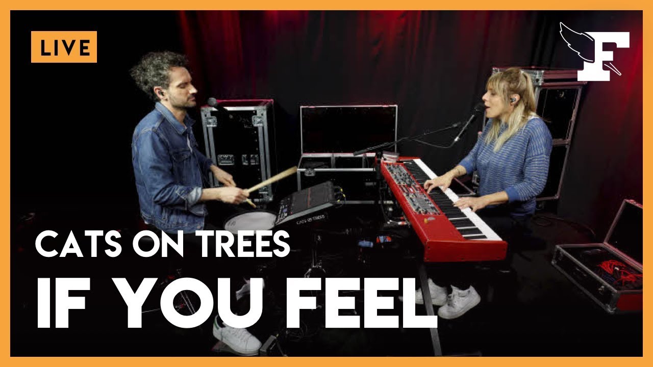 Cats On Trees - 