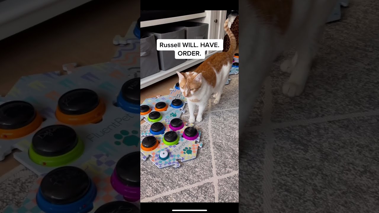 Russell WILL. HAVE. ORDER.