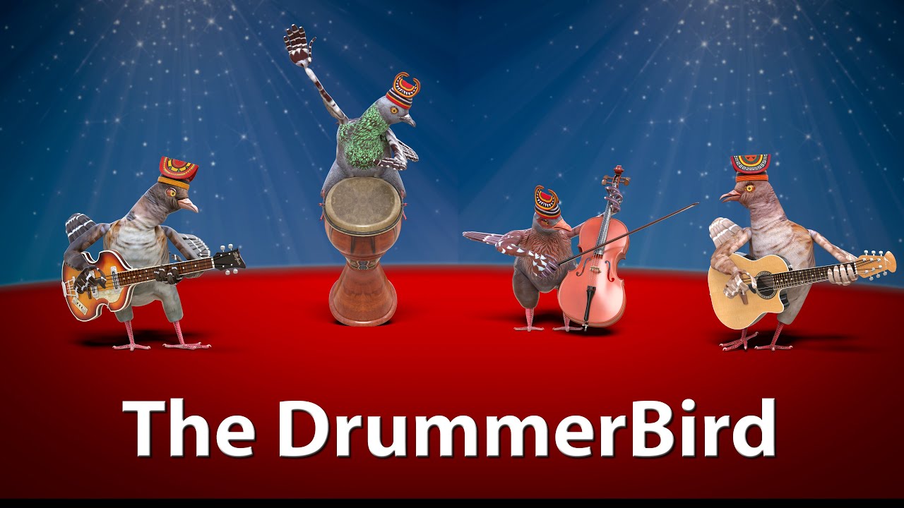The DrummerBird