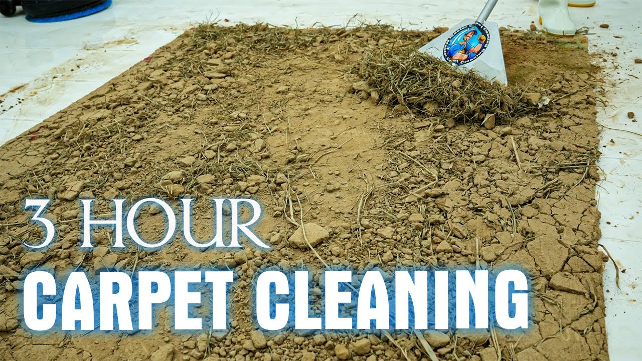 3 Hours to Clean the Dirtiest Carpets Ever - Carpet Cleaning for Deep Sleep, ASMR For Sleep