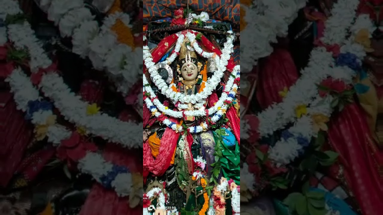 14 oct 25| ମଙ୍ଗଳବାର ମା ମଙ୍ଗଳା ଙ୍କ ସକାଳ ବେସ ଦର୍ଶନ କରନ୍ତୁ|| କାକଟପୁର🌺🌺