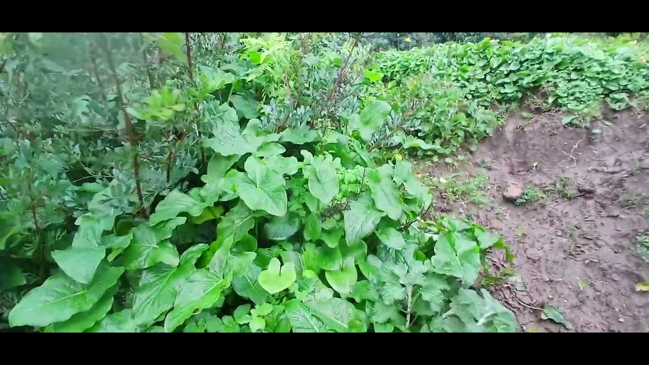 جولة رائعة 😎 في جبال بنى سعيد مدشر توغزة #لايك_اشتراك_بالقناه_ليصلك_كل_جديد #shorts #shortvideo #sho