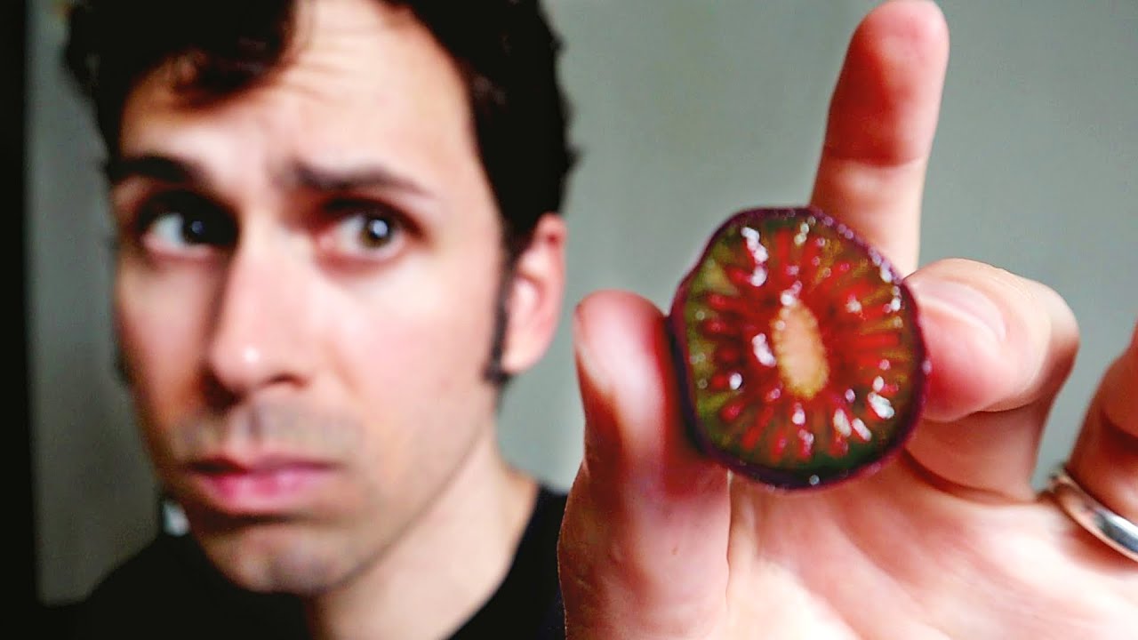 Comparing Kiwifruit - Red, Purple, Gold and Green Kiwi Varieties