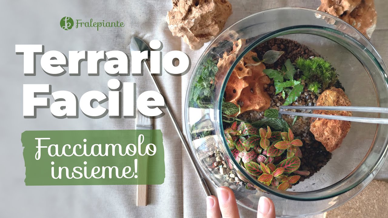 Come fare il tuo primo TERRARIO  | TUTORIAL semplice per PRINCIPIANTI