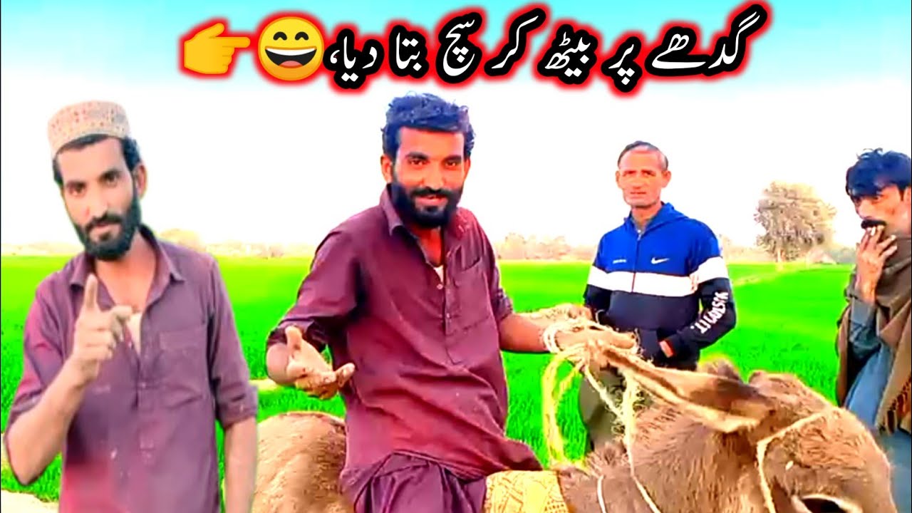 Told the Truth While Sitting on a Donkey! Donkey Cart & Goat Benefits | Funny Village Vlog 
