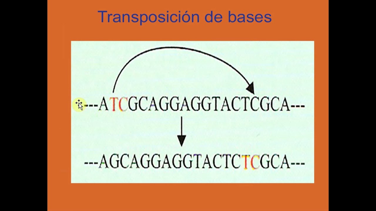 Mutacion