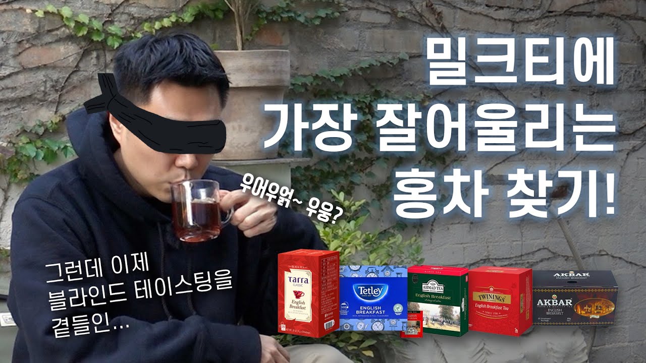 밀크티에 가장 잘 어울리는 홍차 찾기! (Feat. 블라인드 테이스팅)
