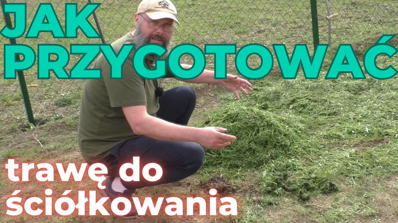 Jak przygotować trawę do ściółkowania - dlaczego trawa gnije i śmierdzi