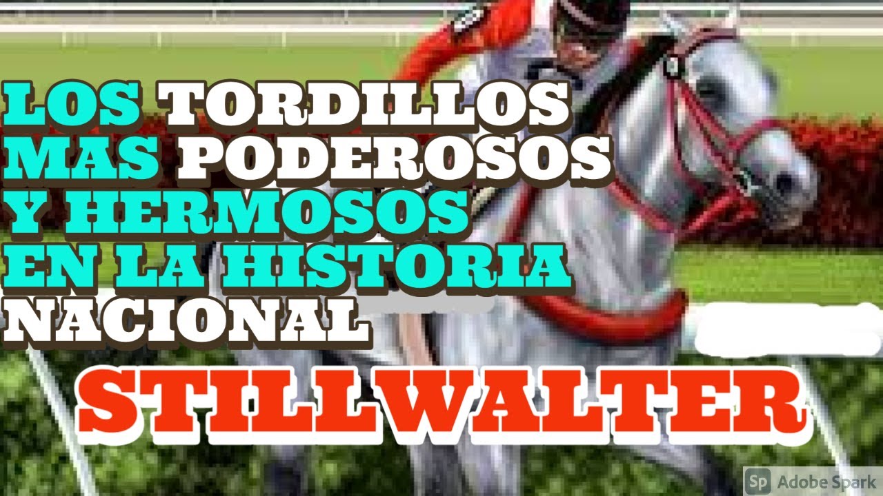 TOP 10 CABALLOS TORDILLOS CON MAS CLASE CORREDORA EN LA HIPICA NACIONAL