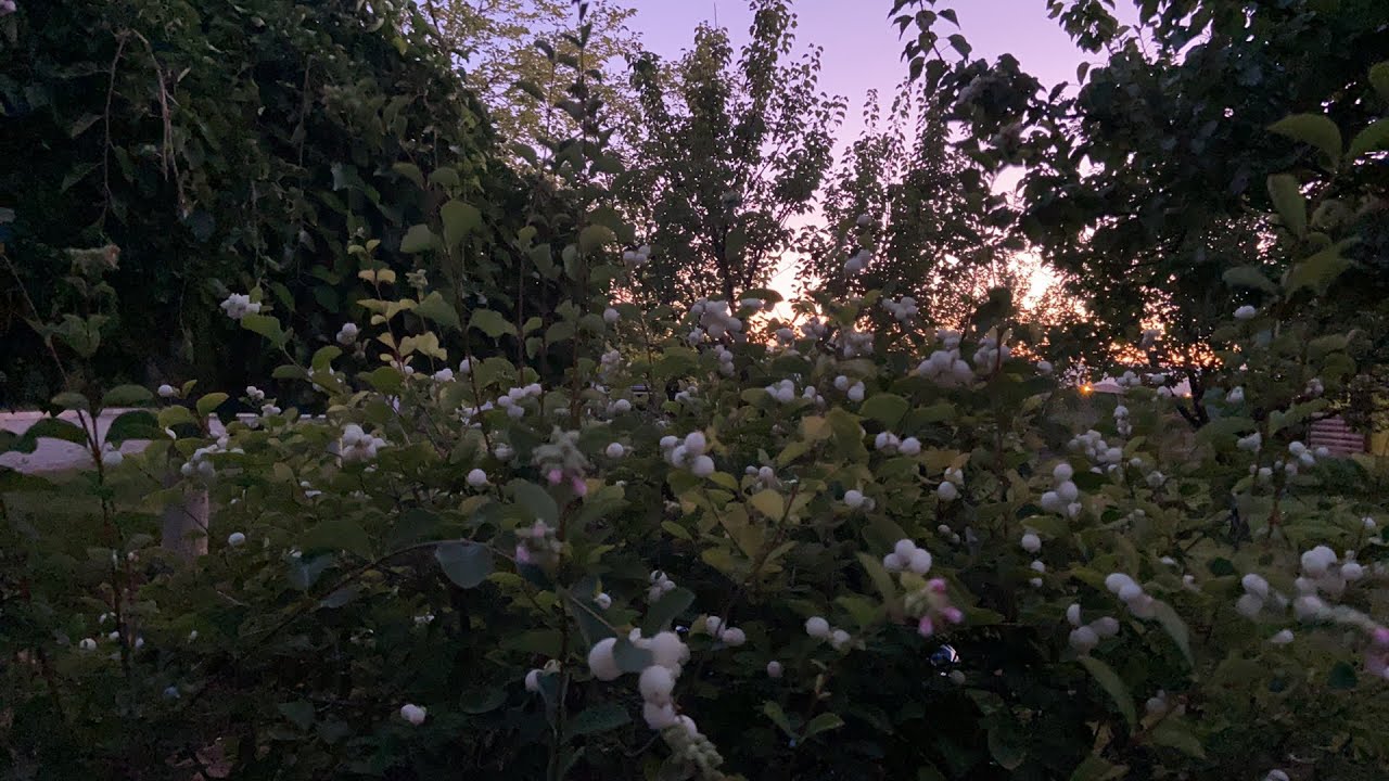 Seher sohbeti 28  neden  aşırı    verici, fedakarız?