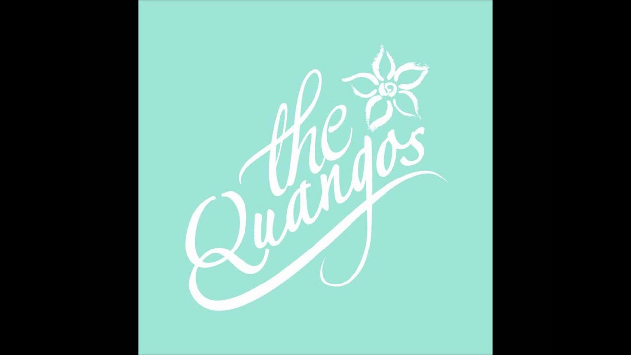The Quangos - Take a Look (acoustic)