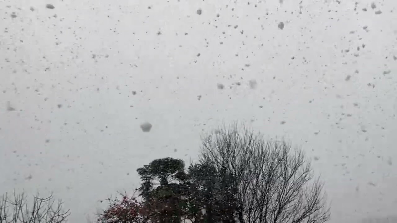 吹雪の畑と瓜生川2025,12/26