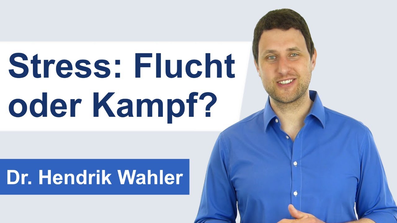 Stress = Flucht oder Kampf