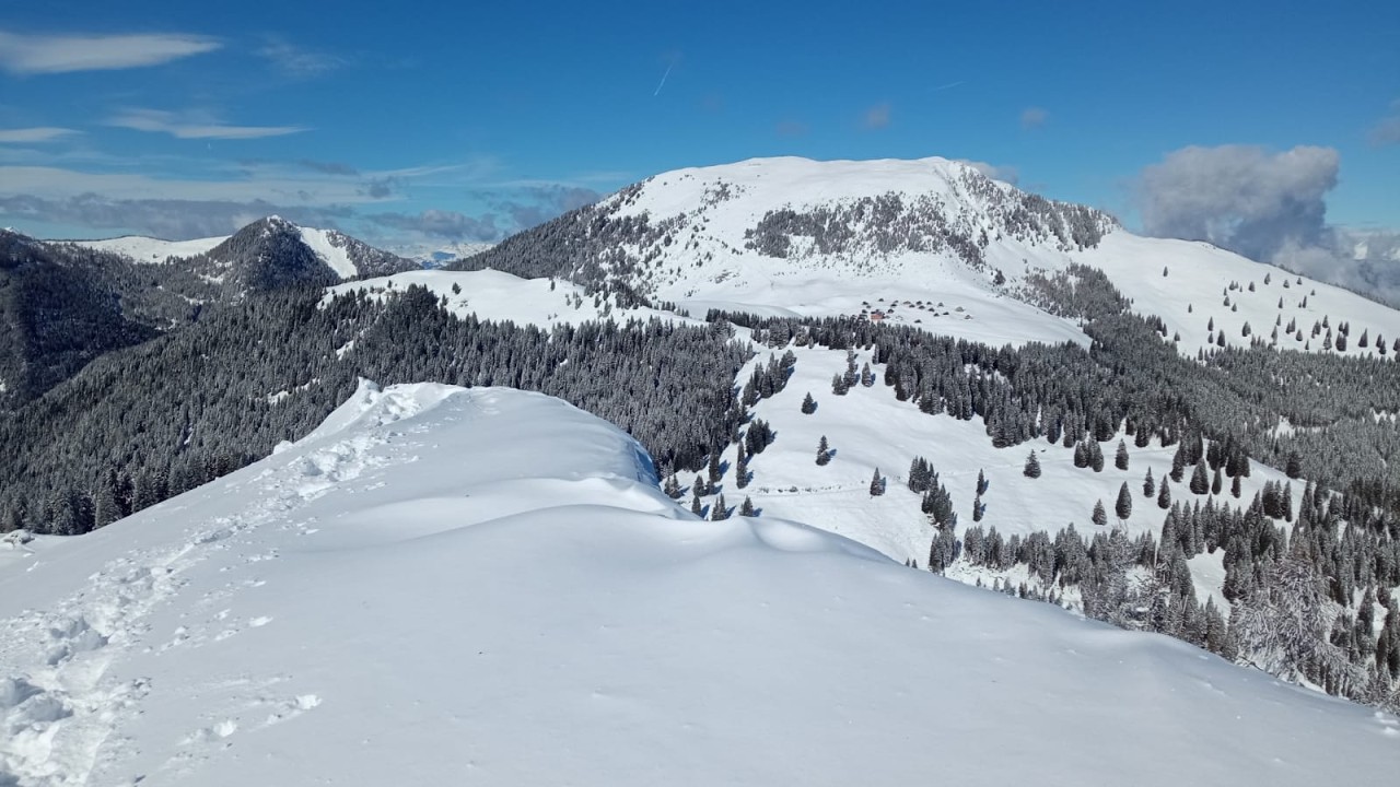 Monte Acomizza.Alpi Carniche Orientali.Friuli.