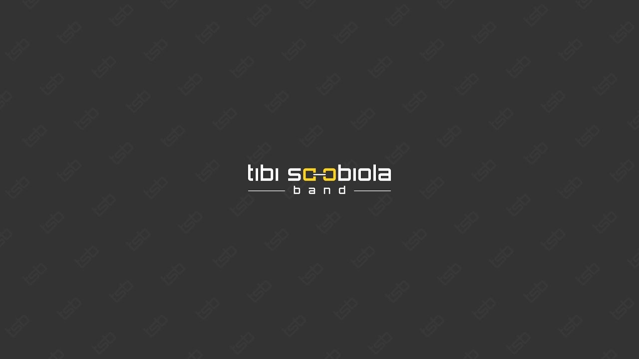 Trupa coveruri - Tibi Scobiola Band (Live in Tribute), Avicii cover)