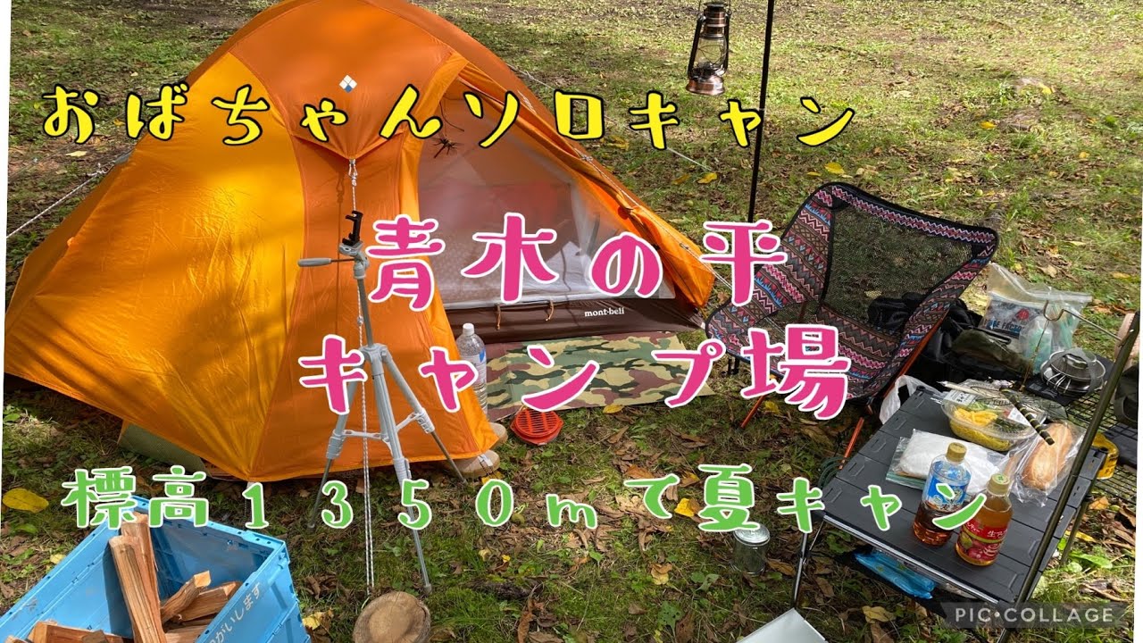 【青木の平キャンプ場】おばちゃんのソロキャン第六弾:避暑地キャンプで夏野菜食べまくる【長野県川上村】