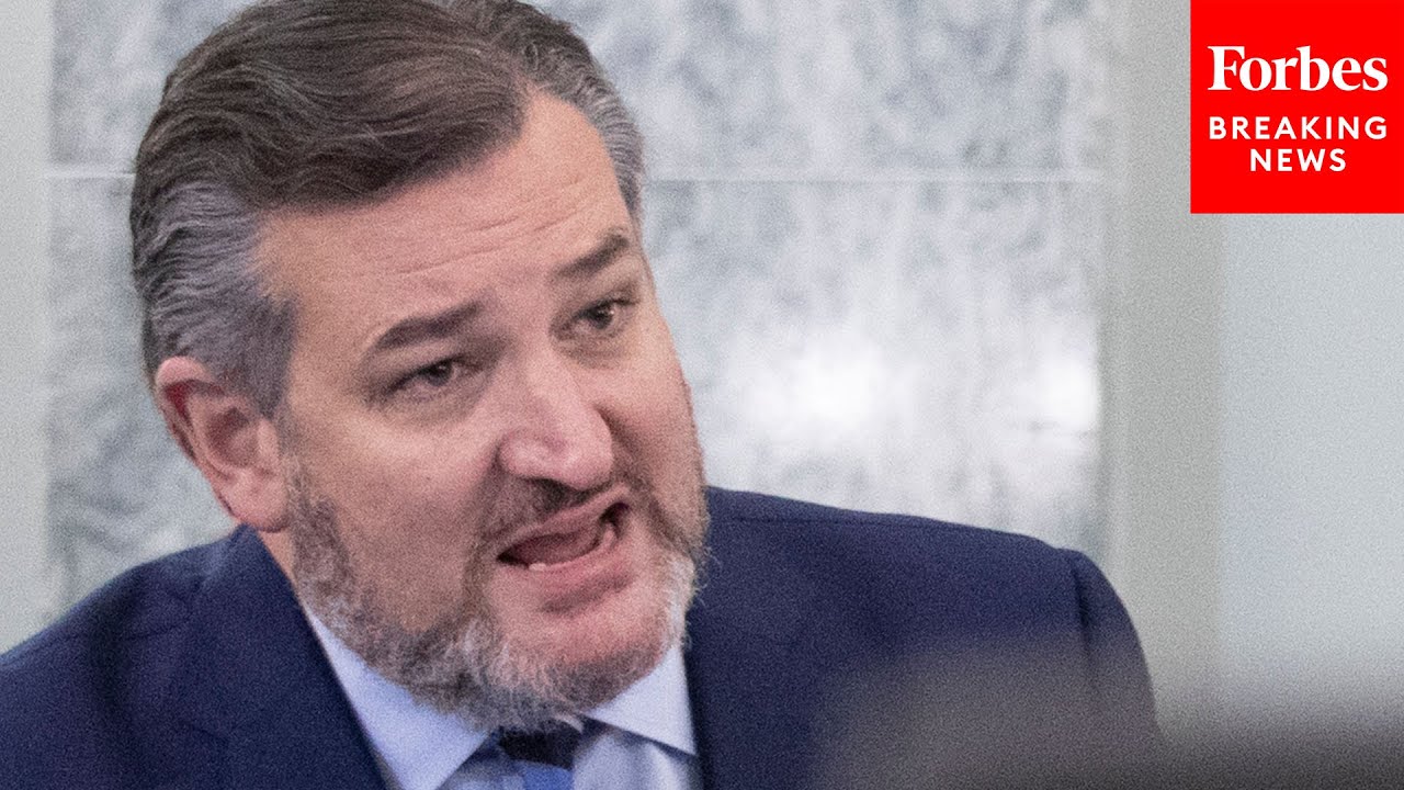 'Are You Going To Answer The Questions?': Cruz's Best Witness Grillings Of Past Year | 2021 Rewind