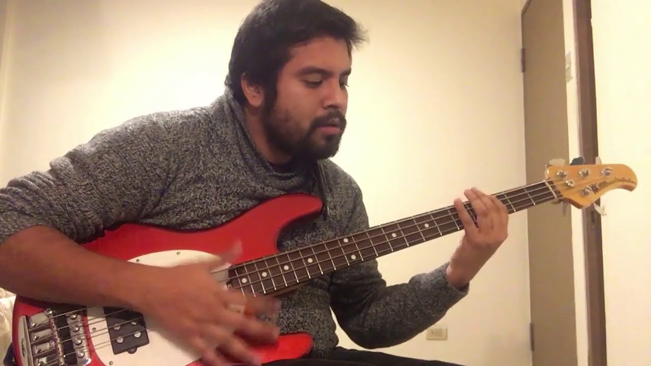 Paul Mccartney - Silly Love Songs reprise Bass cover.