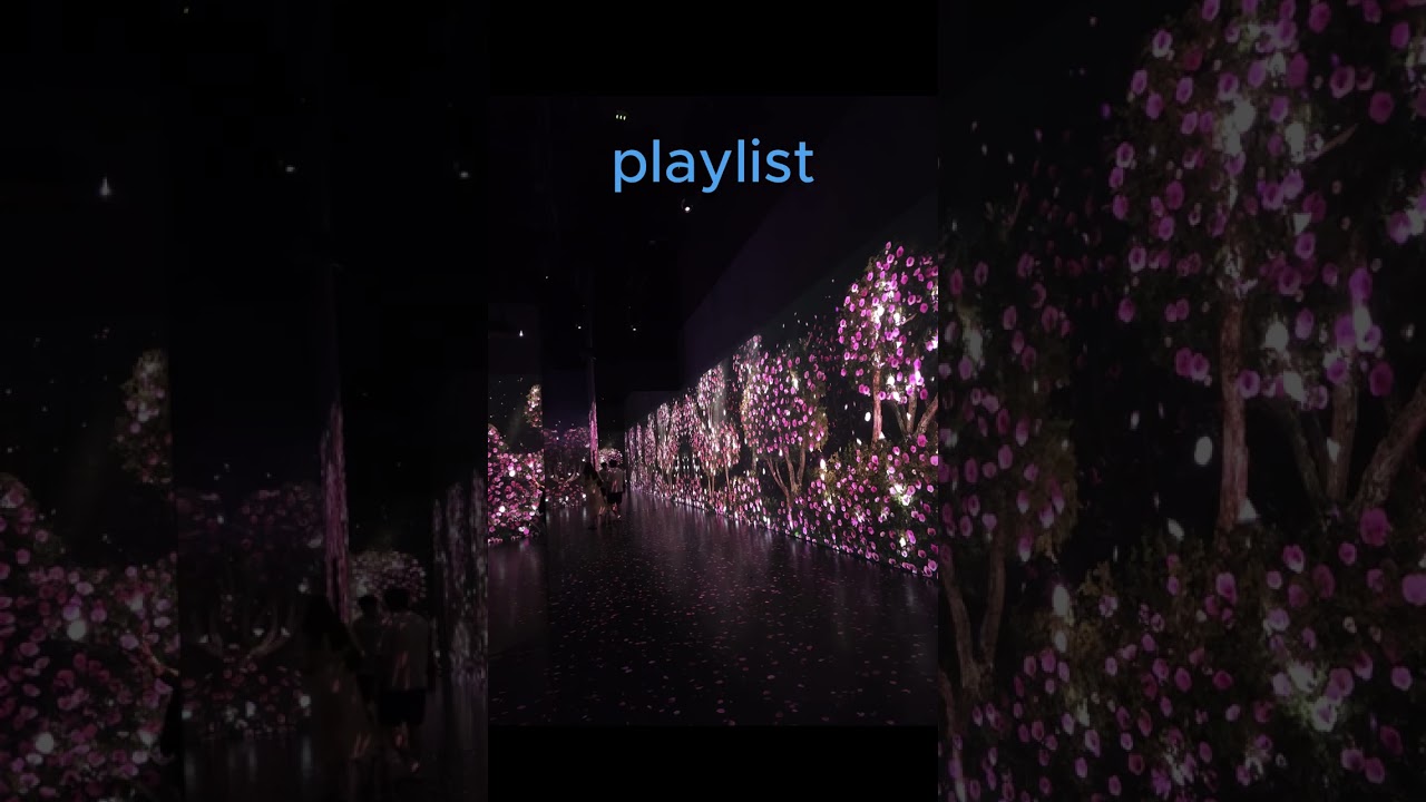 Blooming Mood Playlist
