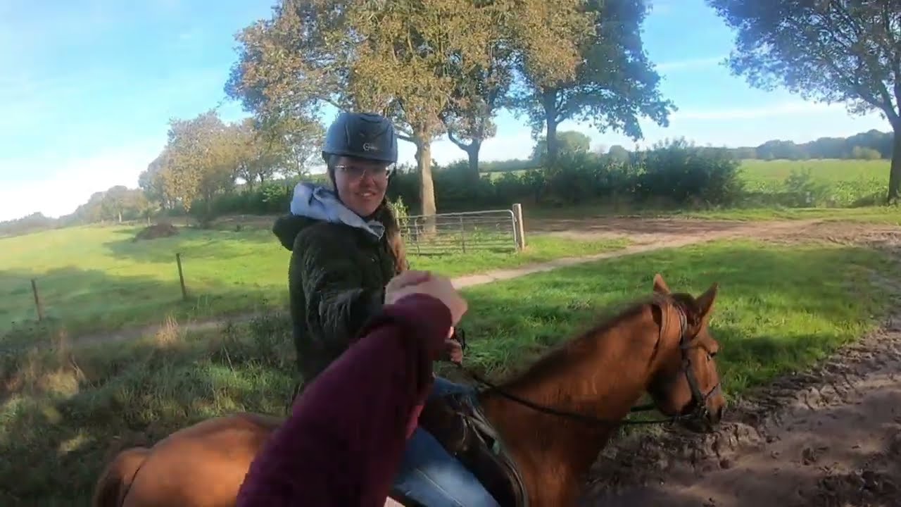 Rchetfjordenpaard huren 06-10-2024