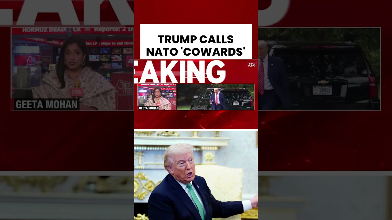 Трамп обрушился с критикой на НАТО | Назвал альянс &laquo;бумажным тигром&raquo; | Взрывное заявление Трампа ...