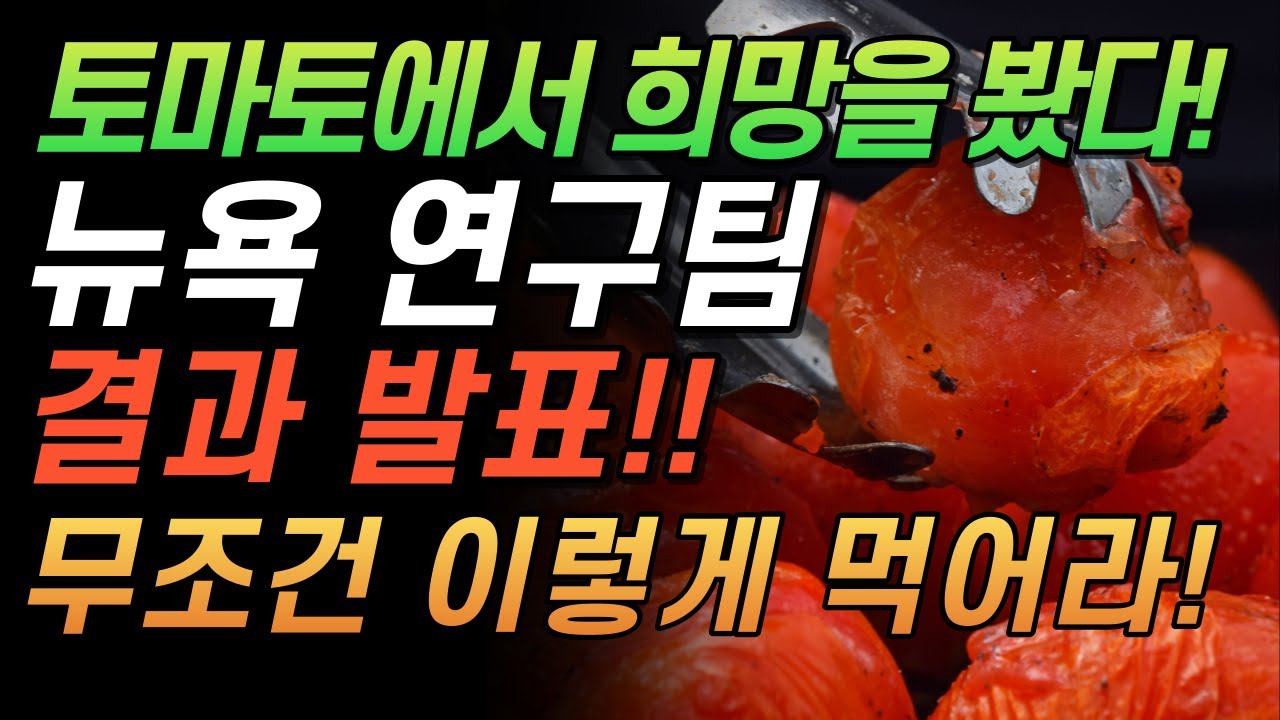 뉴욕 연구팀 발표! 작은 토마토에서 희망을 봤다! 염증이 사라진다! 매일 먹으면 만성염증을 없애는 효능!!!!!