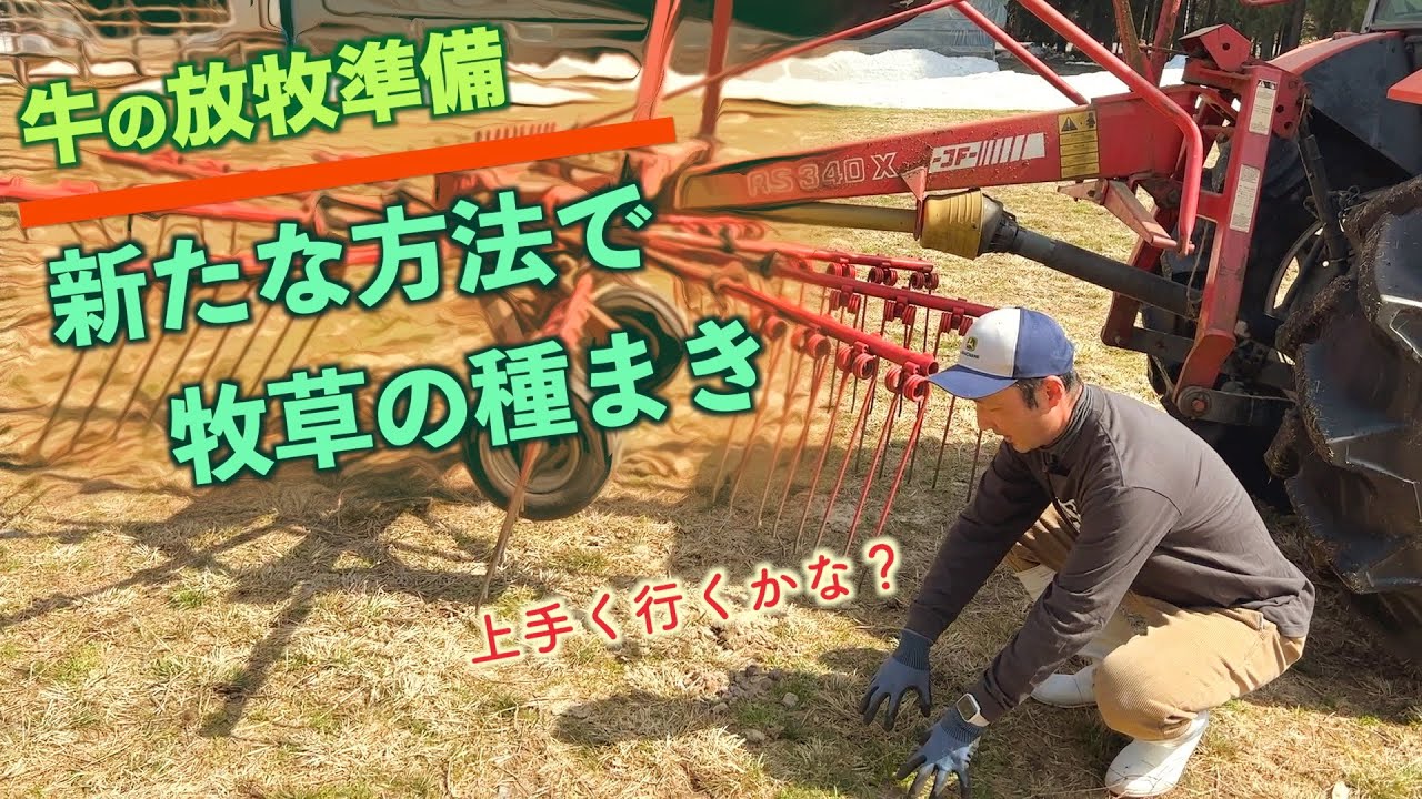 牛放牧の準備「牧草の種まき」