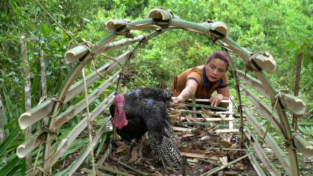 Survival In The Forest. Detect turkey tracks, create rudimentary turkey traps, Solo Survival