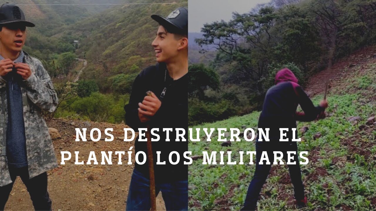 FUIMOS A VER LOS PEDAZOS QUE TUMBARON LOS MILITARES🌲✌🏼