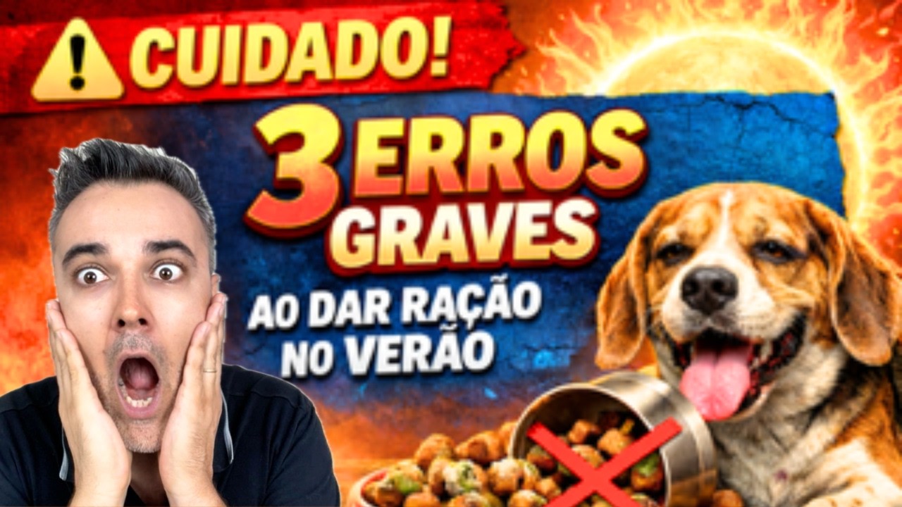 ⚠️ CUIDADO! 🚫 3 ERROS GRAVES ao dar ração no verão!