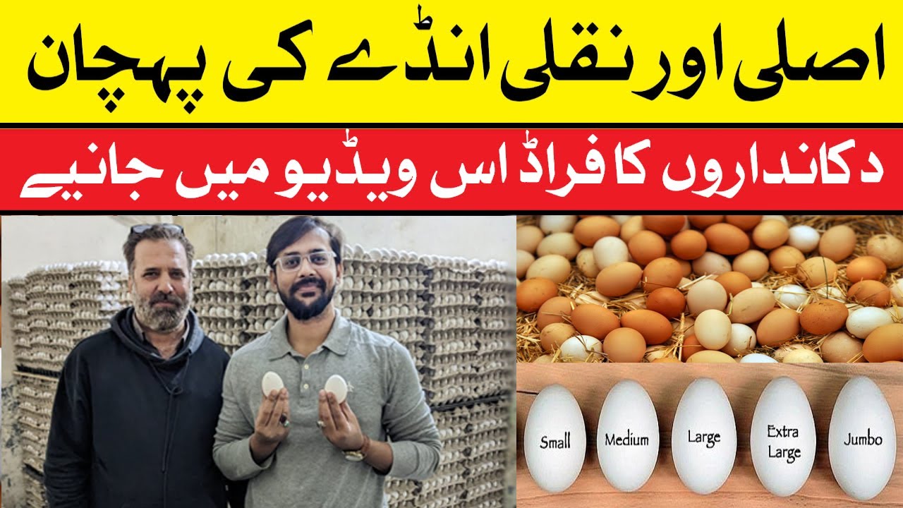 Fake Egg Ke Full Information | Egg Wholesale Market in Karachi | Desi & Farming Egg | Egg Market