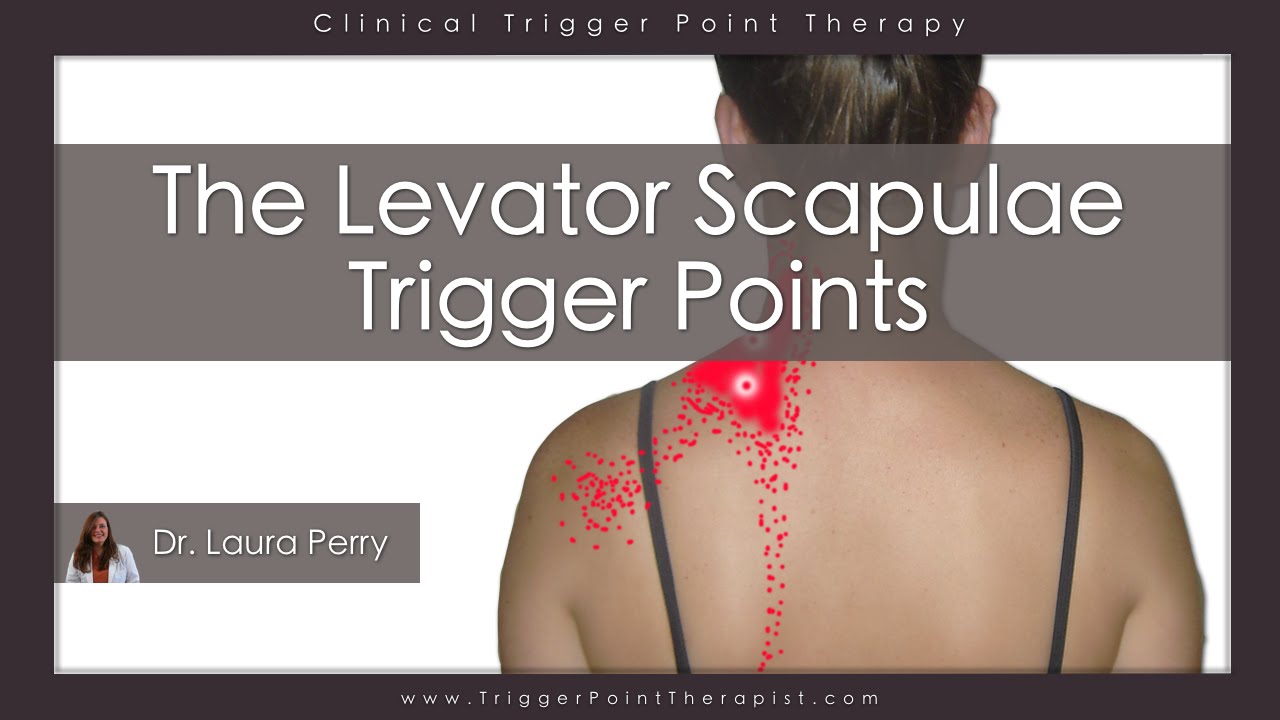 The Levator Scapulae Trigger Points