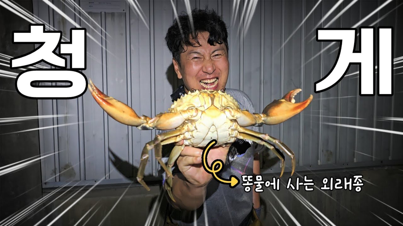물리면 절단! 똥물에만 서식한다는 메다급 청게를 해루질로 포획해보자!(헌터퐝과 함께)