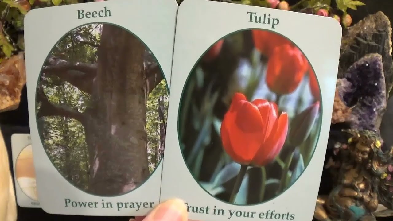 ♈️Aries | ☆ Your Guides Need You To Hear This ☆| Urgent Spirit Guide Messages
