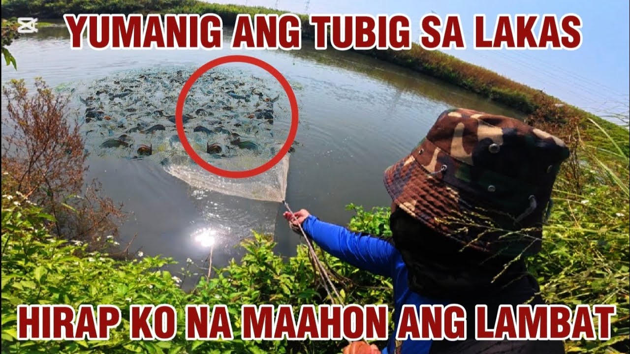 Yumanig ang tubig sa lakas at sa dambuhalang mga isda Hirap ko na maahon ang lambat😱 || KELOGS TV 