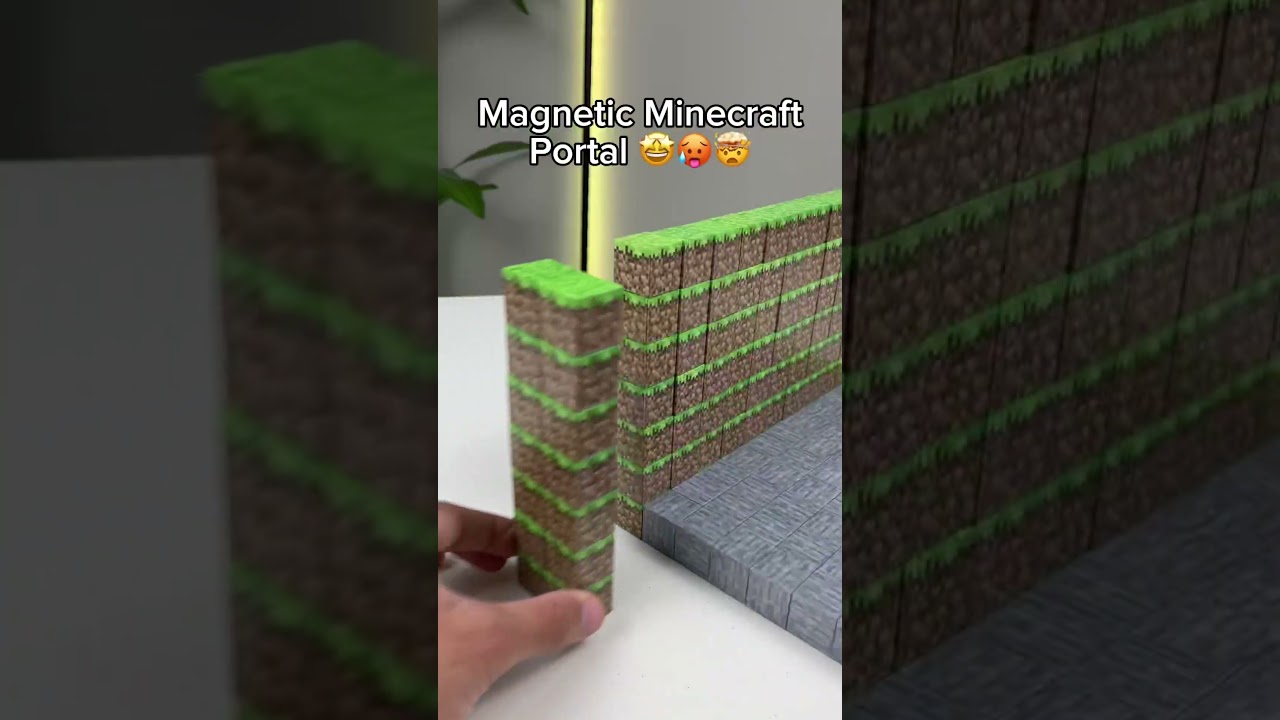 Prototype Minecraft Portal VS MAGNETIC 🥵