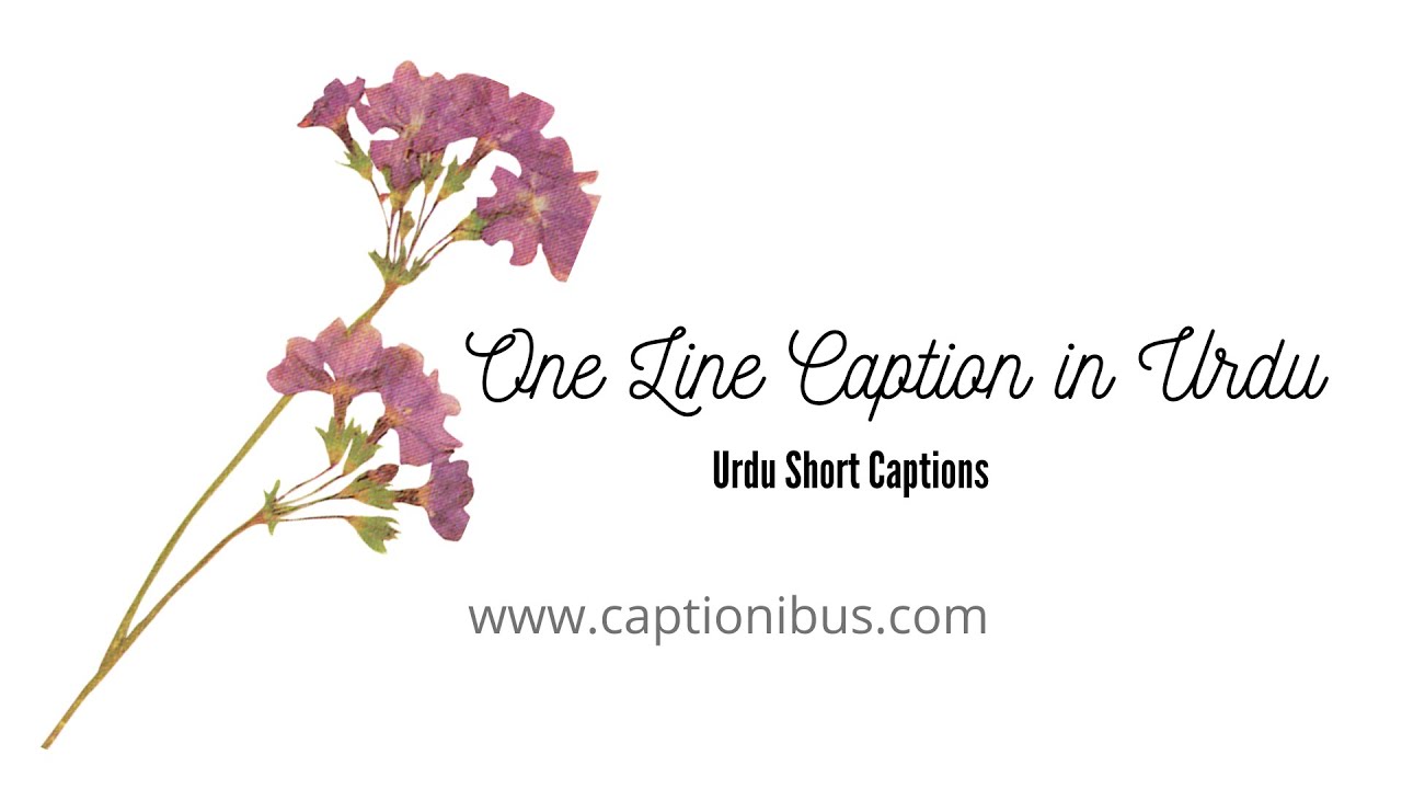 Latest Short Captions in Urdu || One Line Caption in Urdu || Urdu Captions