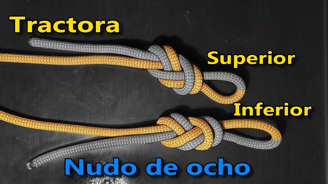 Nudo de ocho - Tractora superior y tractora inferior