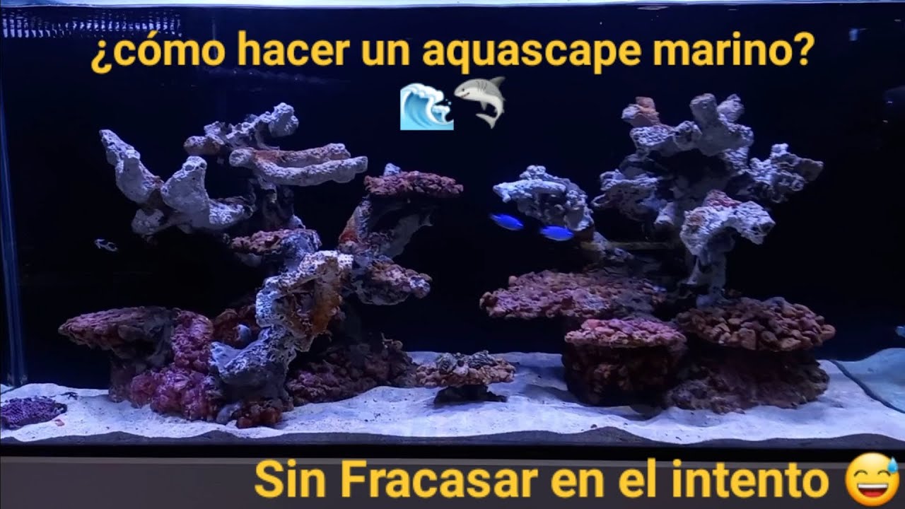 😱 Así realizamos un AQUASCAPE MARINO para un tanque de ARRECIFE de 450L con roca mixta 🌊🦈