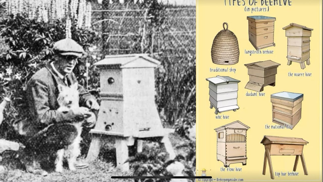 Honeybee Hives from around the World ~ Old and New