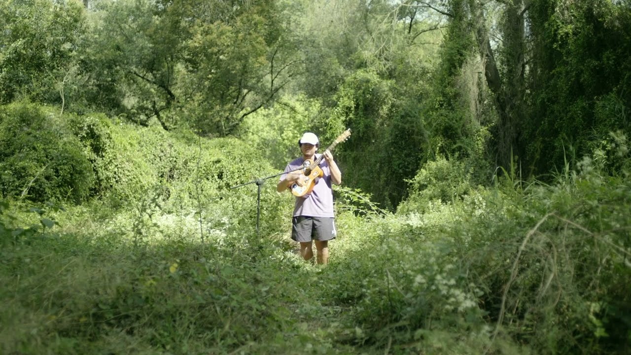 Corallo- Sesión en vivo en el bosque 🌳.