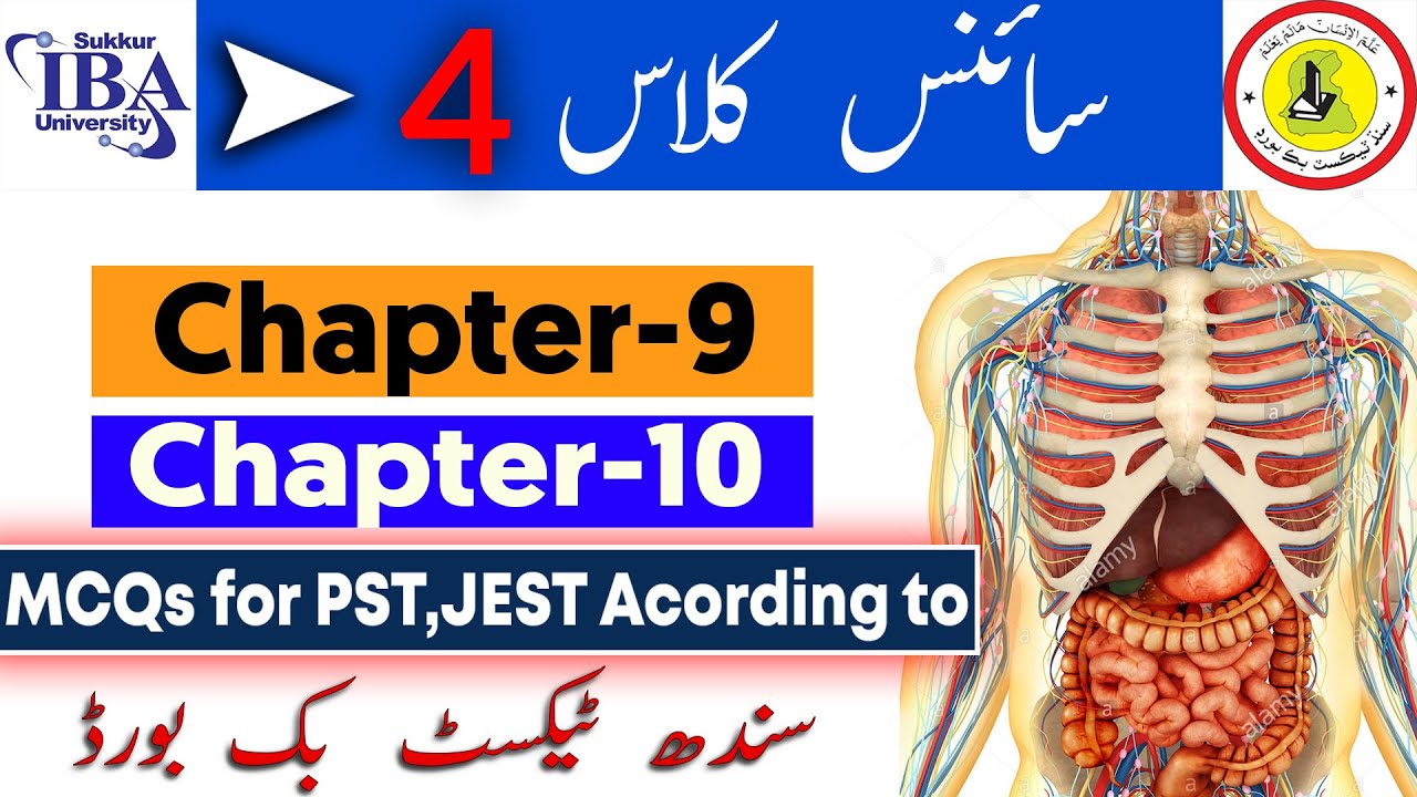 Science Class 4 Chapter 9 and 10 Last Chapter I STB Science I MCQs for PST,JEST I According to STB I